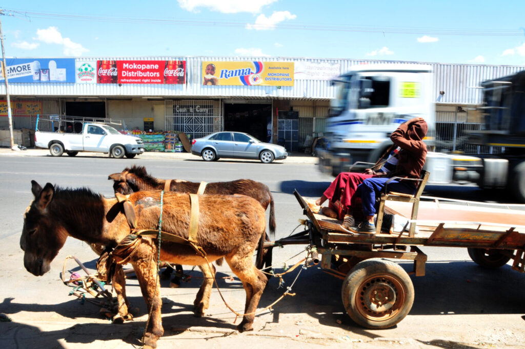 Ndeme ya Donngi kha vhutshilo ha vhupo ha mahayani