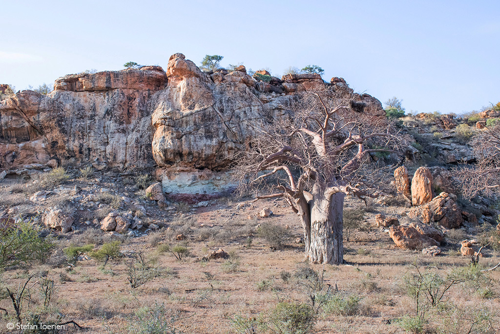 Divhazwakale ya Mapungubwe