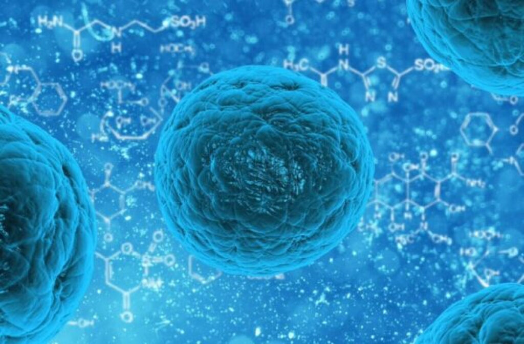 Tshitzhili tsha Nipah tshi khou thasela vhathu ngei India