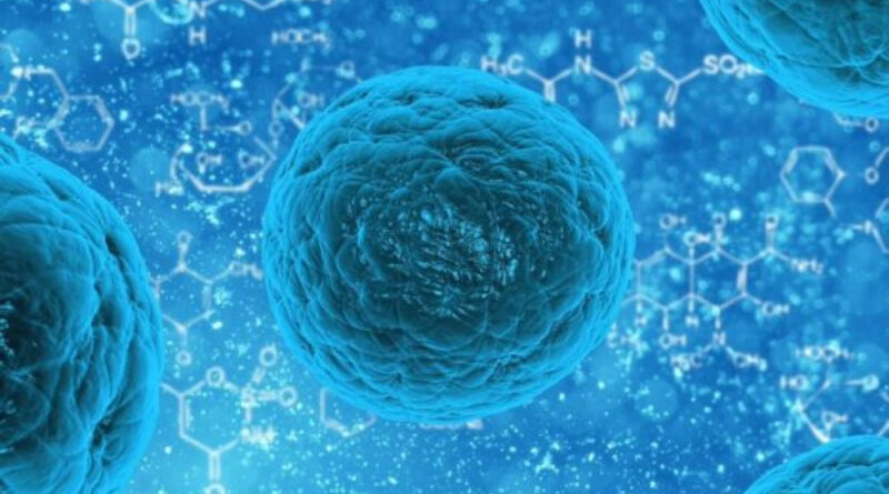 Tshitzhili tsha Nipah tshi khou thasela vhathu ngei India