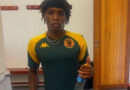 Kaizer Chiefs i ṱoḓa u linga mutambi wa Zimbabwe