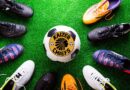 Kaizer chiefs kha u khwinisa tshigwada kha khalanwaha iḓaho