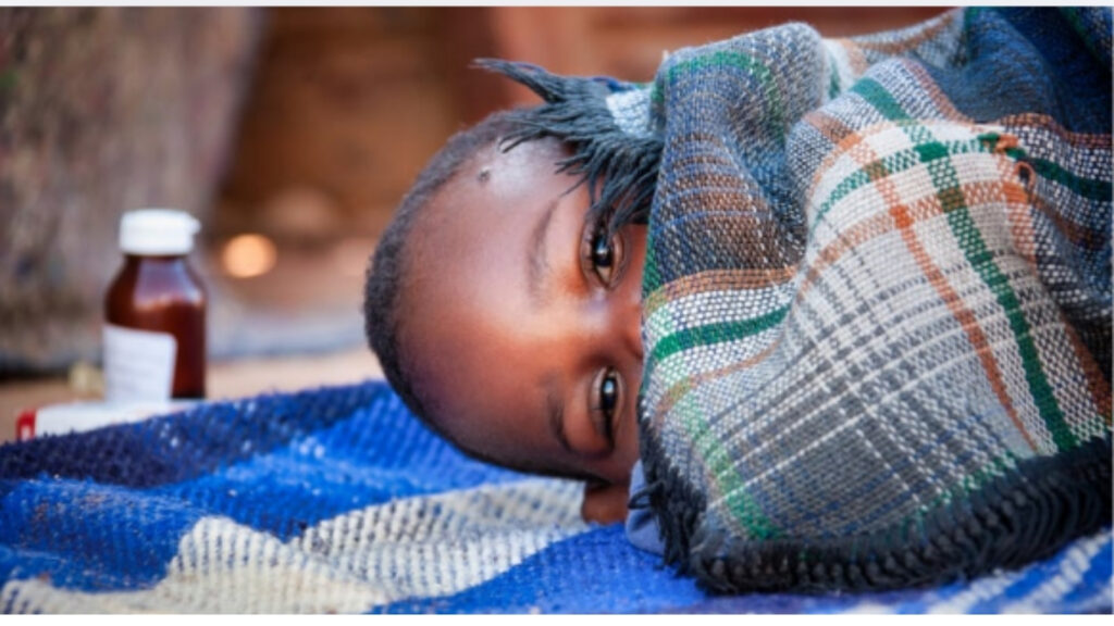 Tsivhudzo ya Malaria Gauteng: Tshivhalo tsha mpfu tsho gonya nga 2026