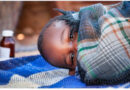 Tsivhudzo ya Malaria Gauteng: Tshivhalo tsha mpfu tsho gonya nga 2026