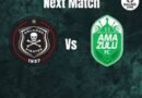 Mutambo u tevhelaho wa Pirets na Amazulu