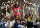 Nḓila dza u lumelisa kha nyambo dza 11 dza Afrika Tshipembe