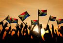 Nḓila dza u lumelisa kha nyambo dza 11 dza Afrika Tshipembe